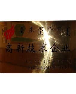 高新技術企業(yè)